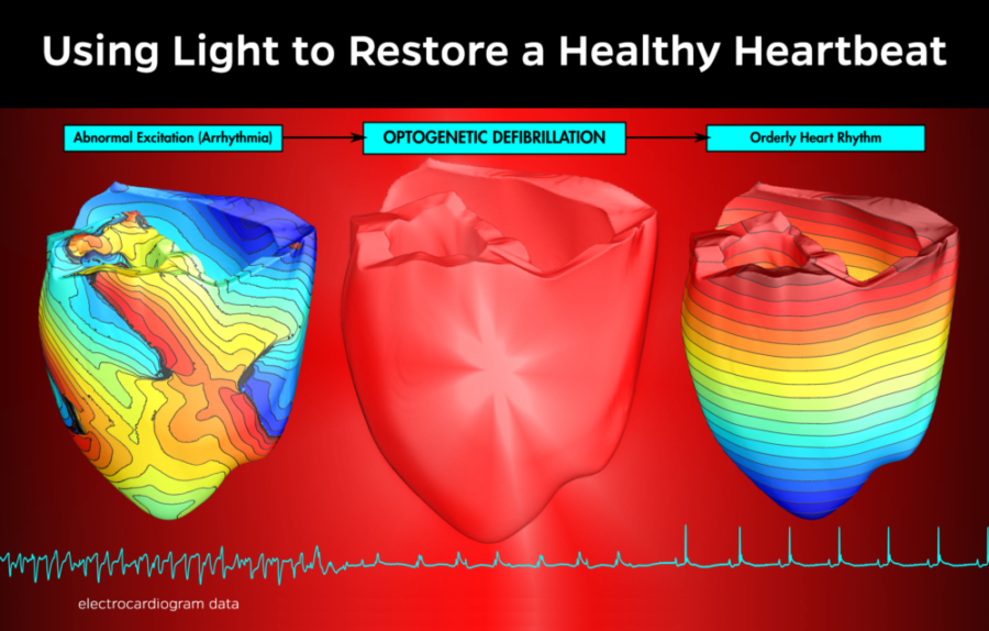 Graphic by Patrick M. Boyle/Johns Hopkins University